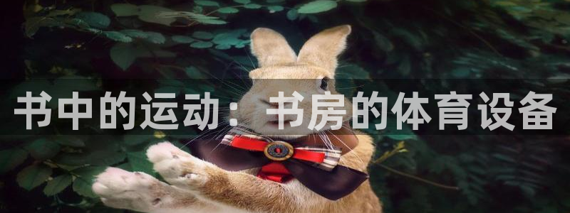 fb体育官方:书中的运动:书房的体育设备